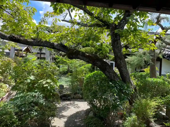妙徳寺(京都府)