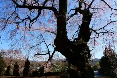 荒井馬頭観音堂の景色