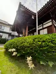 光栄寺(長崎県)