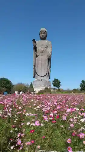 東本願寺本廟 牛久浄苑（牛久大仏）の仏像