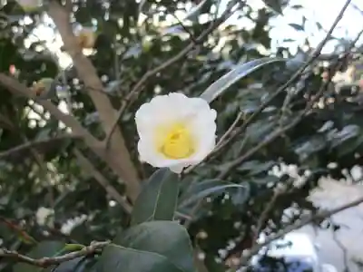 紅葉八幡宮(福岡県)