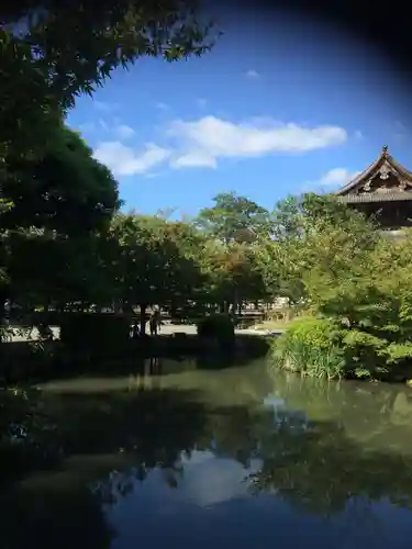 東寺（教王護国寺）の庭園