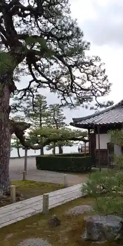 満月寺（浮御堂）の建物その他