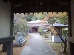 眞照寺(東京都)