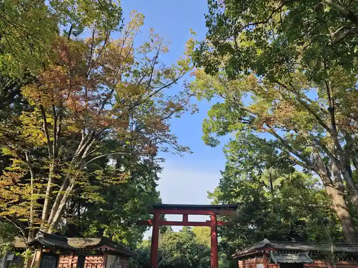 武蔵一宮氷川神社(埼玉県)