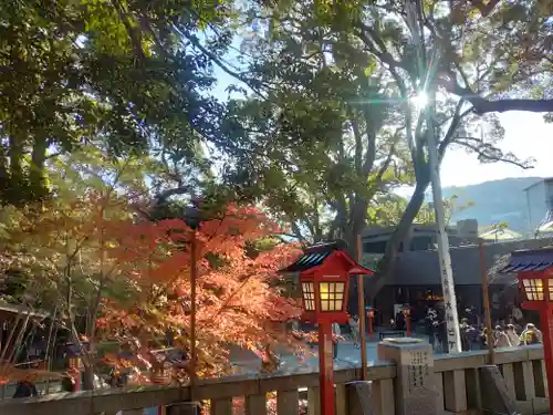 來宮神社(静岡県)