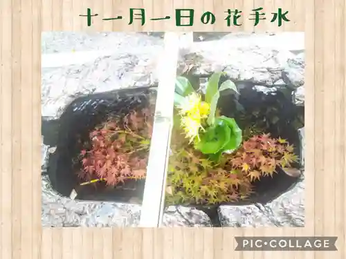 阿智神社の手水舎