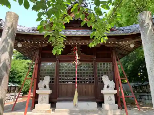 津島神社の本殿・本堂