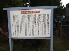 堀出神社(新潟県)