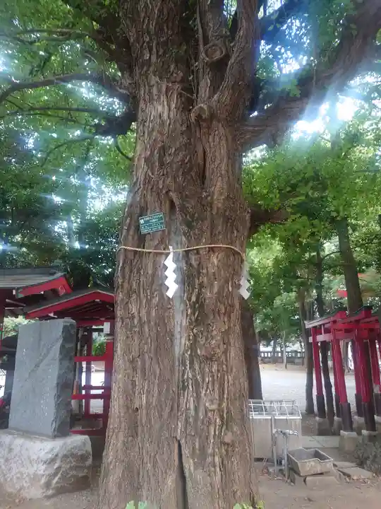 花園神社(東京都)