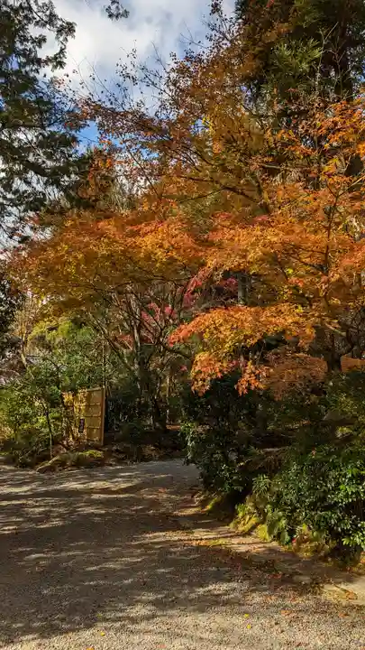 龍安寺(京都府)