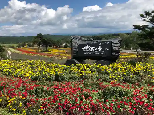 美瑛神社の周辺