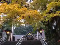 大神神社(奈良県)