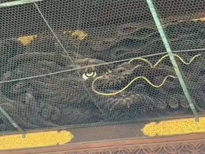 東本願寺(真宗本廟)の芸術