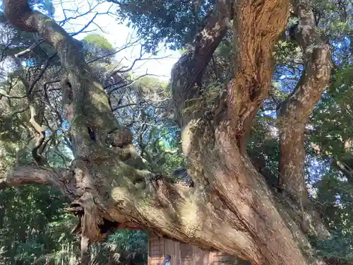 天神社(千葉県)