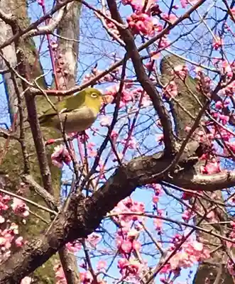 城南宮(京都府)