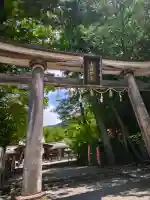 土佐神社の{uncategorized: "未分類", other: "その他", undefined: "問題あり", building: "その他建物", grave: "お墓", sacred_gate: "鳥居", guardian: "狛犬", statue: "像", buddha: "仏像", history: "歴史", nature: "自然", garden: "庭園", animal: "動物", pagoda: "塔", temizu: "手水舎", mountain_gate: "山門・神門", sanctuary: "本殿・本堂", subordinate: "末社・摂社", art: "芸術", scenery: "景色", jizo: "地蔵", ema: "絵馬", goshuin: "御朱印", omikuji: "おみくじ", items: "授与品その他", amulet: "お守り", goshuincho: "御朱印帳", eats: "食事", festival: "お祭り", votive_dance: "神楽", shichigosan: "七五三参", wedding: "結婚式", experience: "体験その他", initially: "初詣", around: "周辺", anti_infection: "感染症対策"}