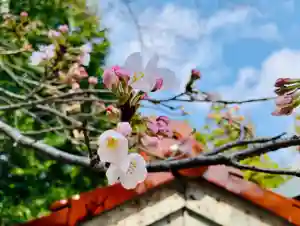 滑川神社 - 仕事と子どもの守り神の自然(2020年04月04日(土) 17時16分55秒投稿)