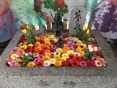 札幌諏訪神社の手水舎