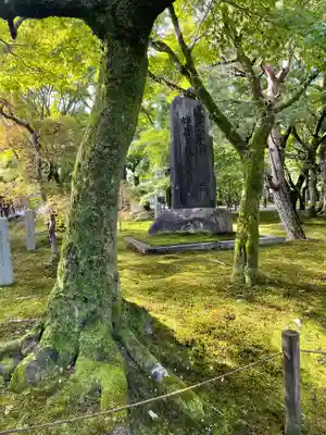 東福禅寺(東福寺)(京都府)