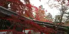 鍬山神社の建物その他