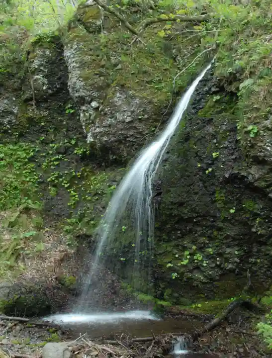 虚空蔵尊南光院の自然