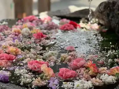 出雲大社相模分祠の手水舎