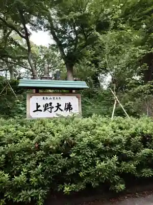 上野大佛(東京都)