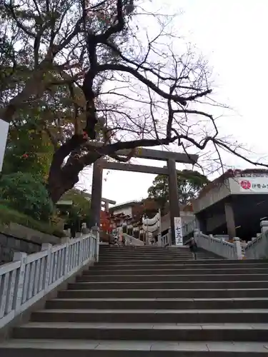 伊勢山皇大神宮の鳥居