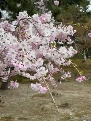 南禅寺(京都府)