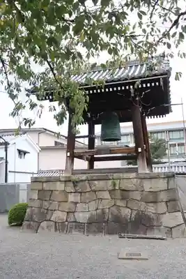 東寺（教王護国寺）(京都府)