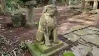 八雲神社の狛犬