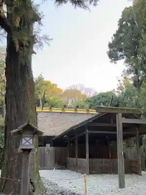 月夜見宮（豊受大神宮別宮）の{uncategorized: "未分類", other: "その他", undefined: "問題あり", building: "その他建物", grave: "お墓", sacred_gate: "鳥居", guardian: "狛犬", statue: "像", buddha: "仏像", history: "歴史", nature: "自然", garden: "庭園", animal: "動物", pagoda: "塔", temizu: "手水舎", mountain_gate: "山門・神門", sanctuary: "本殿・本堂", subordinate: "末社・摂社", art: "芸術", scenery: "景色", jizo: "地蔵", ema: "絵馬", goshuin: "御朱印", omikuji: "おみくじ", items: "授与品その他", amulet: "お守り", goshuincho: "御朱印帳", eats: "食事", festival: "お祭り", votive_dance: "神楽", shichigosan: "七五三参", wedding: "結婚式", experience: "体験その他", initially: "初詣", around: "周辺", anti_infection: "感染症対策"}