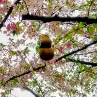 秋葉神社の{uncategorized: "未分類", other: "その他", undefined: "問題あり", building: "その他建物", grave: "お墓", sacred_gate: "鳥居", guardian: "狛犬", statue: "像", buddha: "仏像", history: "歴史", nature: "自然", garden: "庭園", animal: "動物", pagoda: "塔", temizu: "手水舎", mountain_gate: "山門・神門", sanctuary: "本殿・本堂", subordinate: "末社・摂社", art: "芸術", scenery: "景色", jizo: "地蔵", ema: "絵馬", goshuin: "御朱印", omikuji: "おみくじ", items: "授与品その他", amulet: "お守り", goshuincho: "御朱印帳", eats: "食事", festival: "お祭り", votive_dance: "神楽", shichigosan: "七五三参", wedding: "結婚式", experience: "体験その他", initially: "初詣", around: "周辺", anti_infection: "感染症対策"}