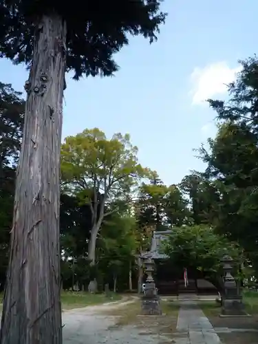 白山神社のその他建物