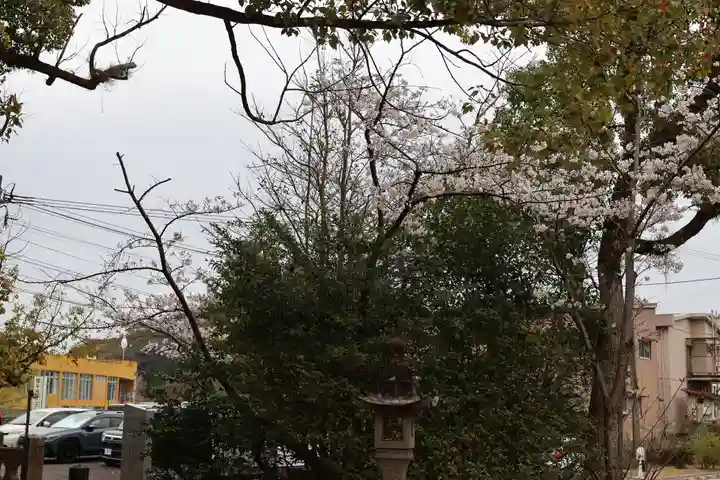 諫早神社(九州総守護 四面宮)(長崎県)