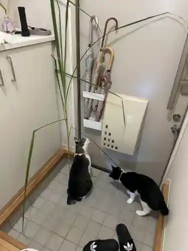 足立山妙見宮（御祖神社）(福岡県)