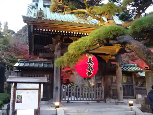 長谷寺(神奈川県)
