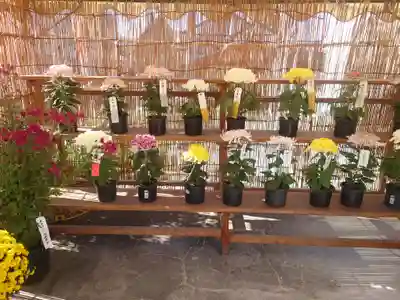 呑龍上人秩父教会(埼玉県)