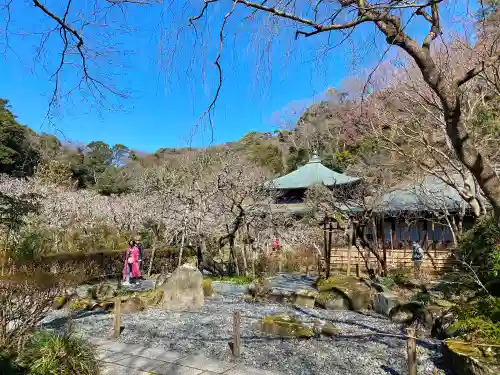 瑞泉寺の庭園