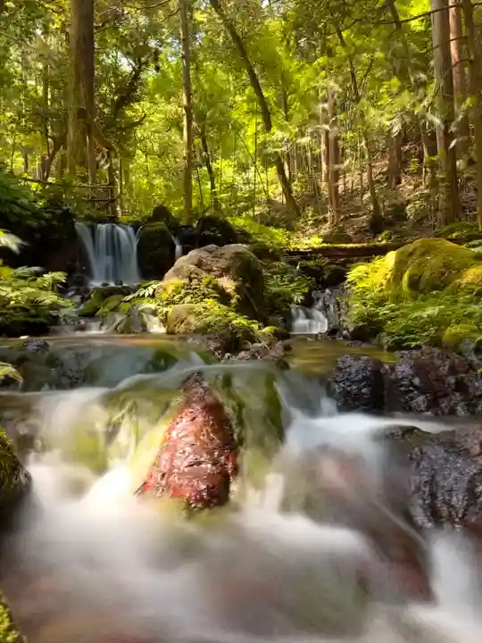 天徳寺(福井県)