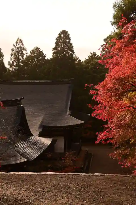 神護寺(京都府)