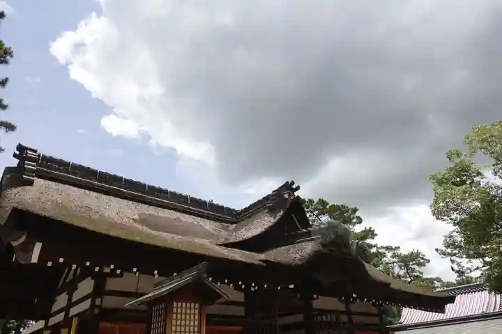 住吉大社の本殿・本堂