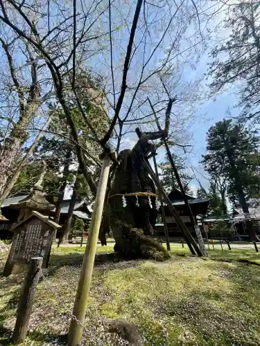 蠶養國神社(福島県)