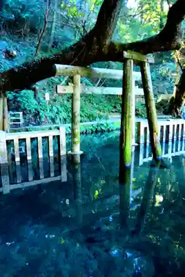 鹿島神宮(茨城県)