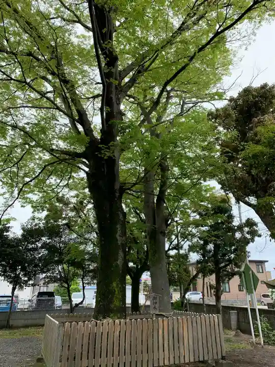 水戸島八幡宮(静岡県)