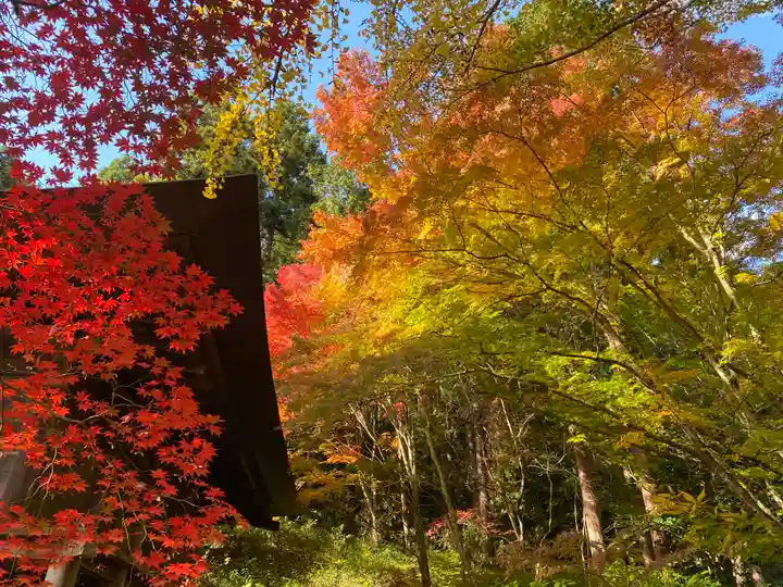 大国寺(兵庫県)
