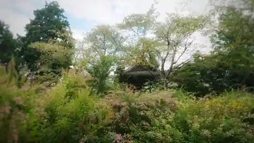 圓光禅寺（円光寺）の景色