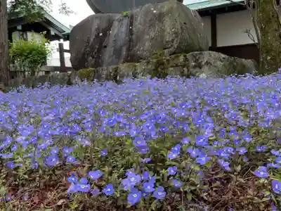 照光寺(長野県)