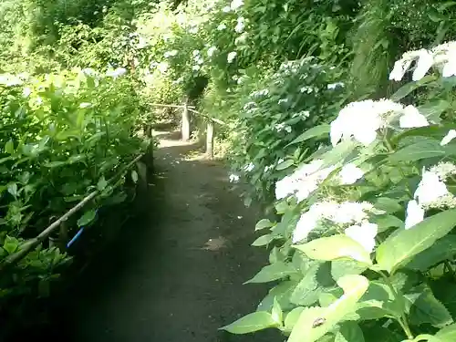 御霊神社の自然